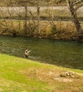 Fishing for Trout on the Smith River - 2